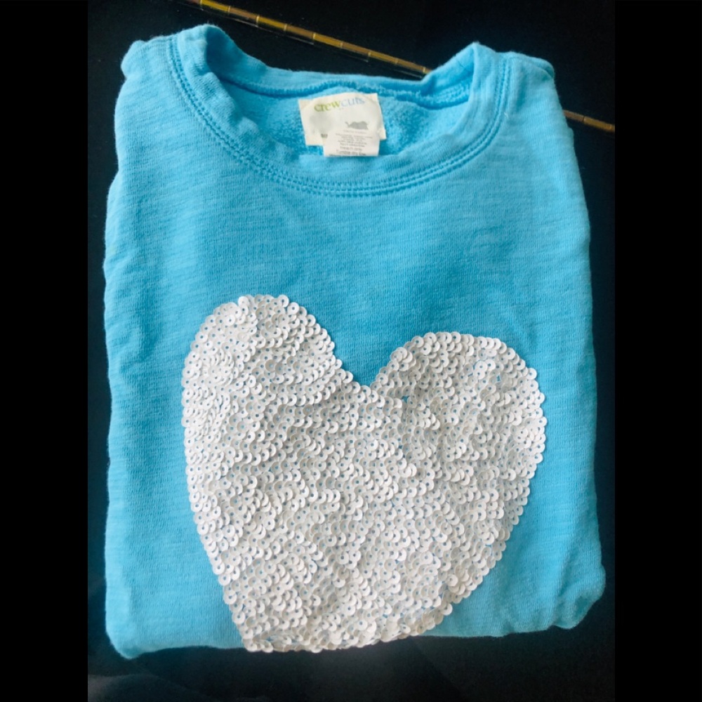 J crew embellished sweatshirt